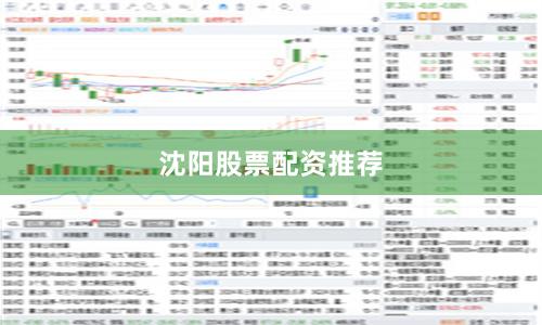 沈阳股票配资推荐